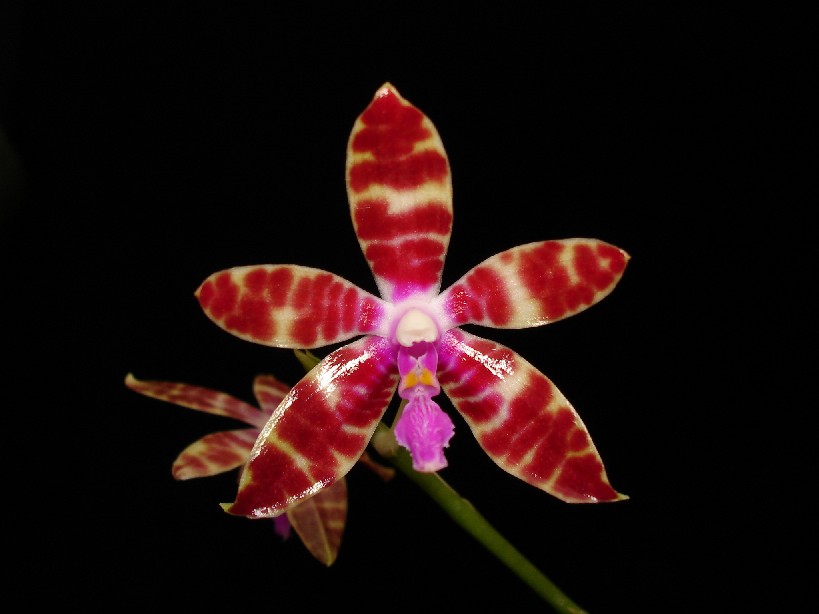 按此在新視窗瀏覽圖片