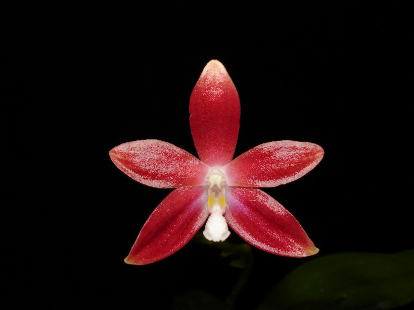 按此在新視窗瀏覽圖片