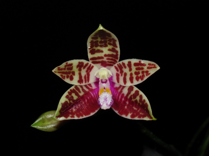 按此在新視窗瀏覽圖片