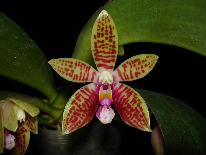 按此在新視窗瀏覽圖片