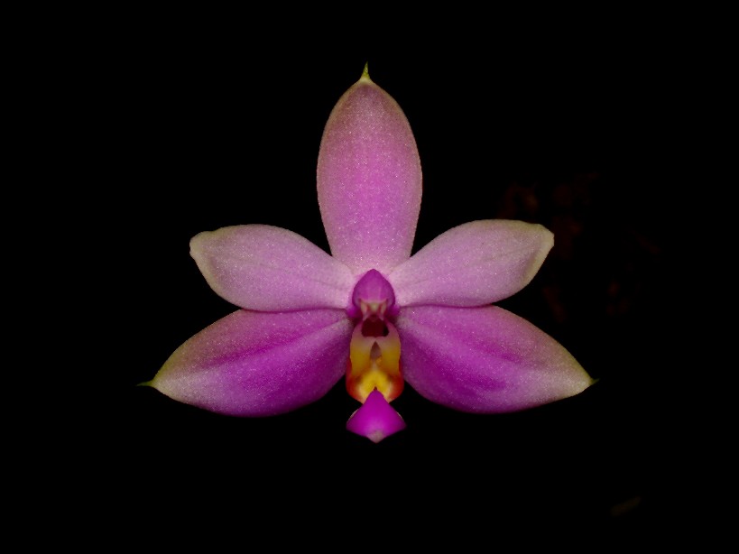 按此在新視窗瀏覽圖片