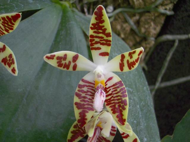 按此在新視窗瀏覽圖片