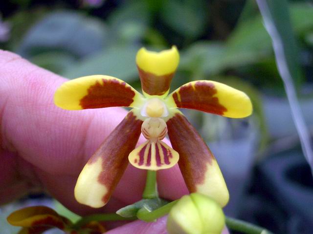 按此在新視窗瀏覽圖片