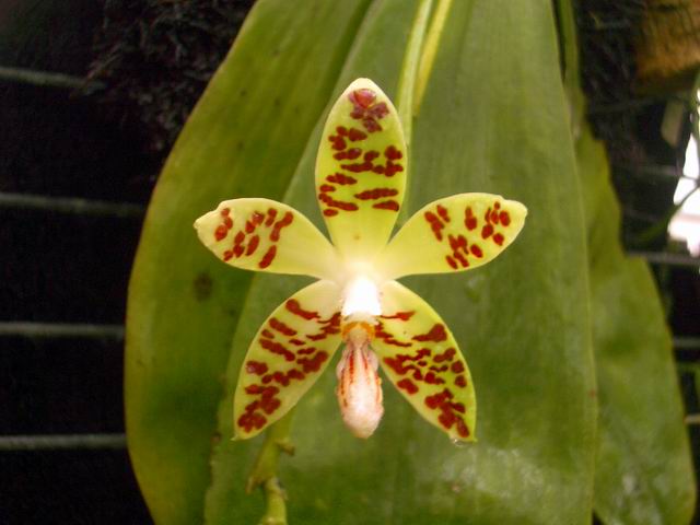 按此在新視窗瀏覽圖片