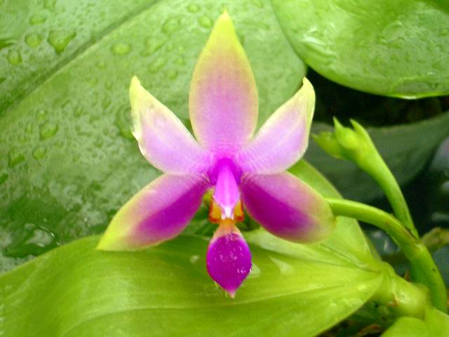 按此在新視窗瀏覽圖片