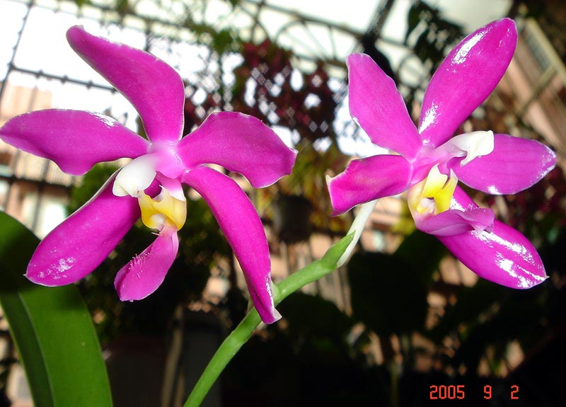 按此在新視窗瀏覽圖片