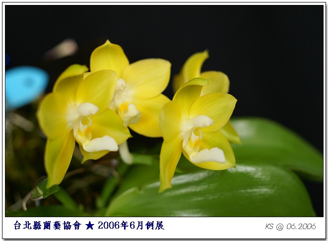 按此在新視窗瀏覽圖片