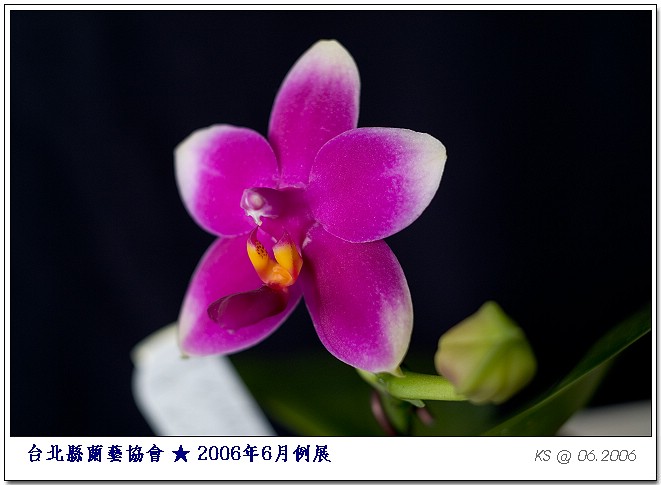 按此在新視窗瀏覽圖片