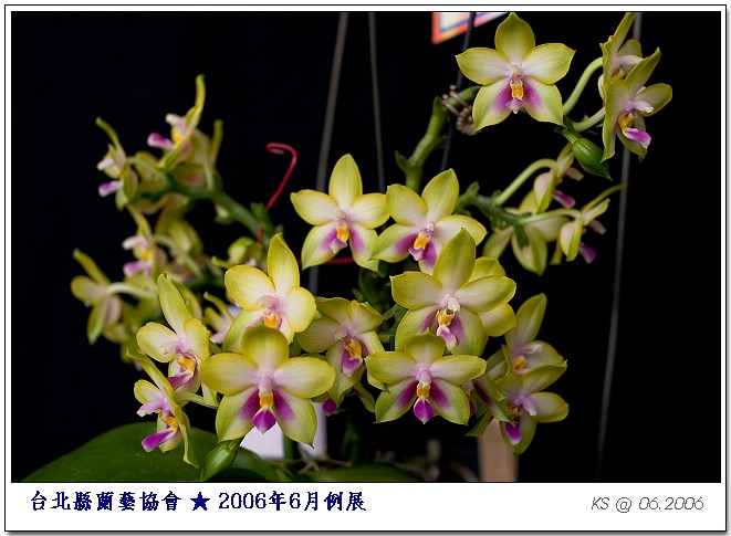 按此在新視窗瀏覽圖片