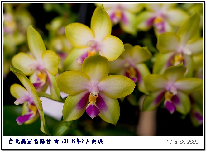 按此在新視窗瀏覽圖片