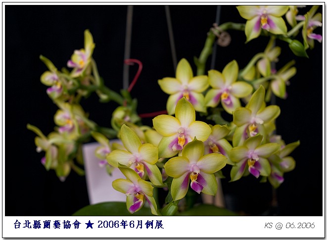 按此在新視窗瀏覽圖片