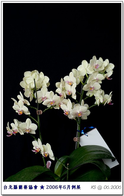 按此在新視窗瀏覽圖片