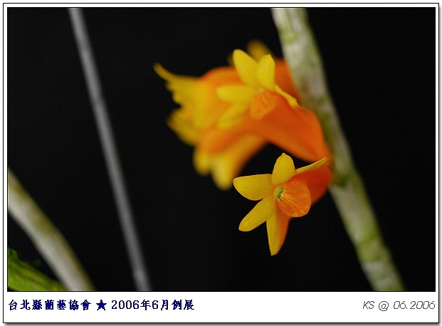 按此在新視窗瀏覽圖片