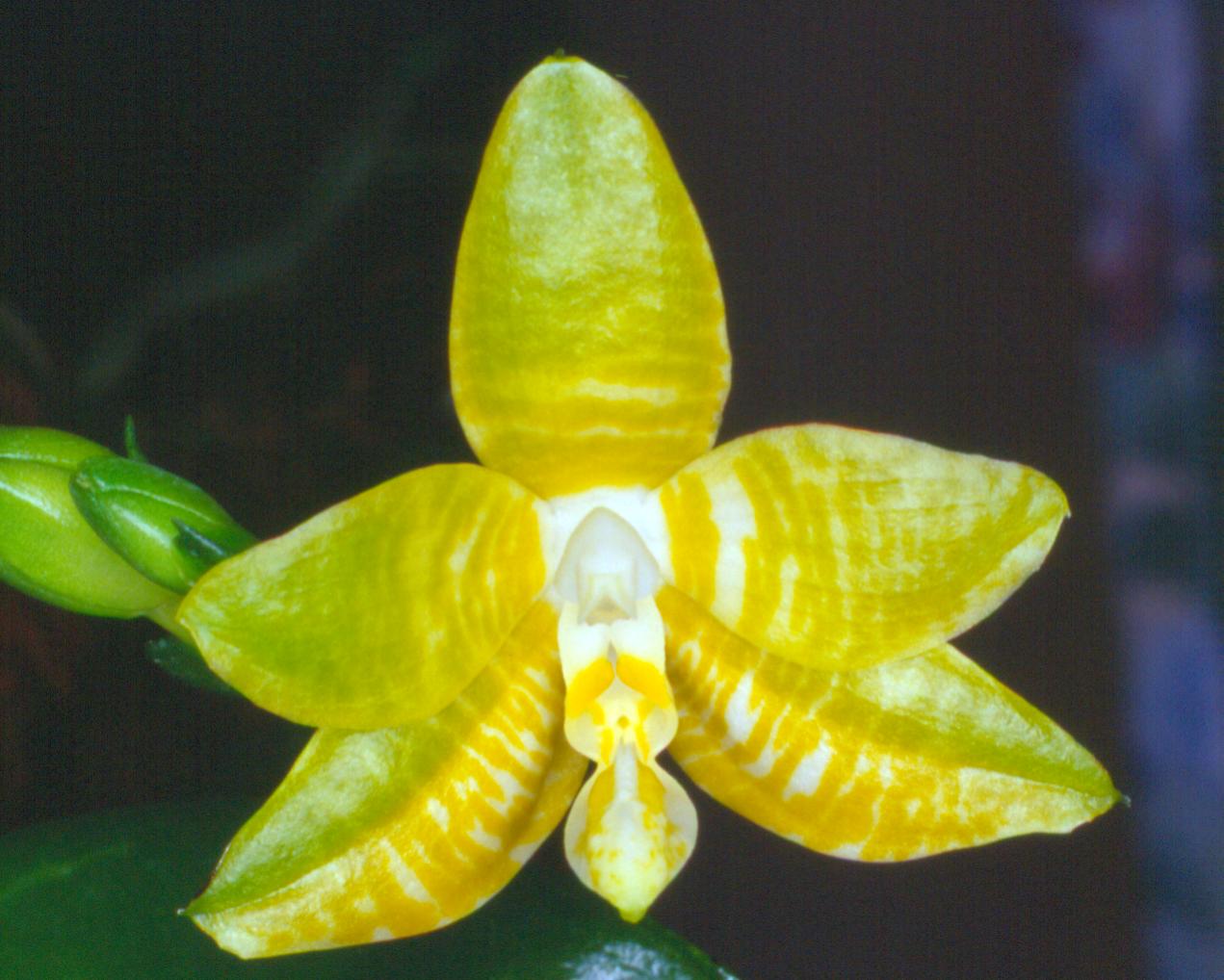 按此在新視窗瀏覽圖片