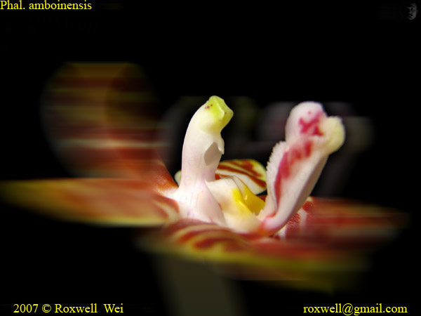 按此在新視窗瀏覽圖片