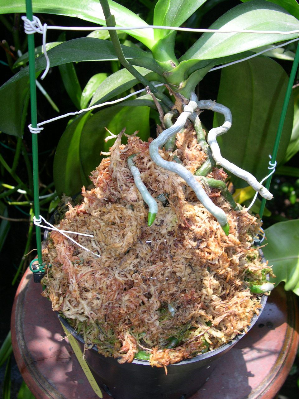 «ö¦¹¦b·sµøµ¡ÂsÄý¹Ï¤ù