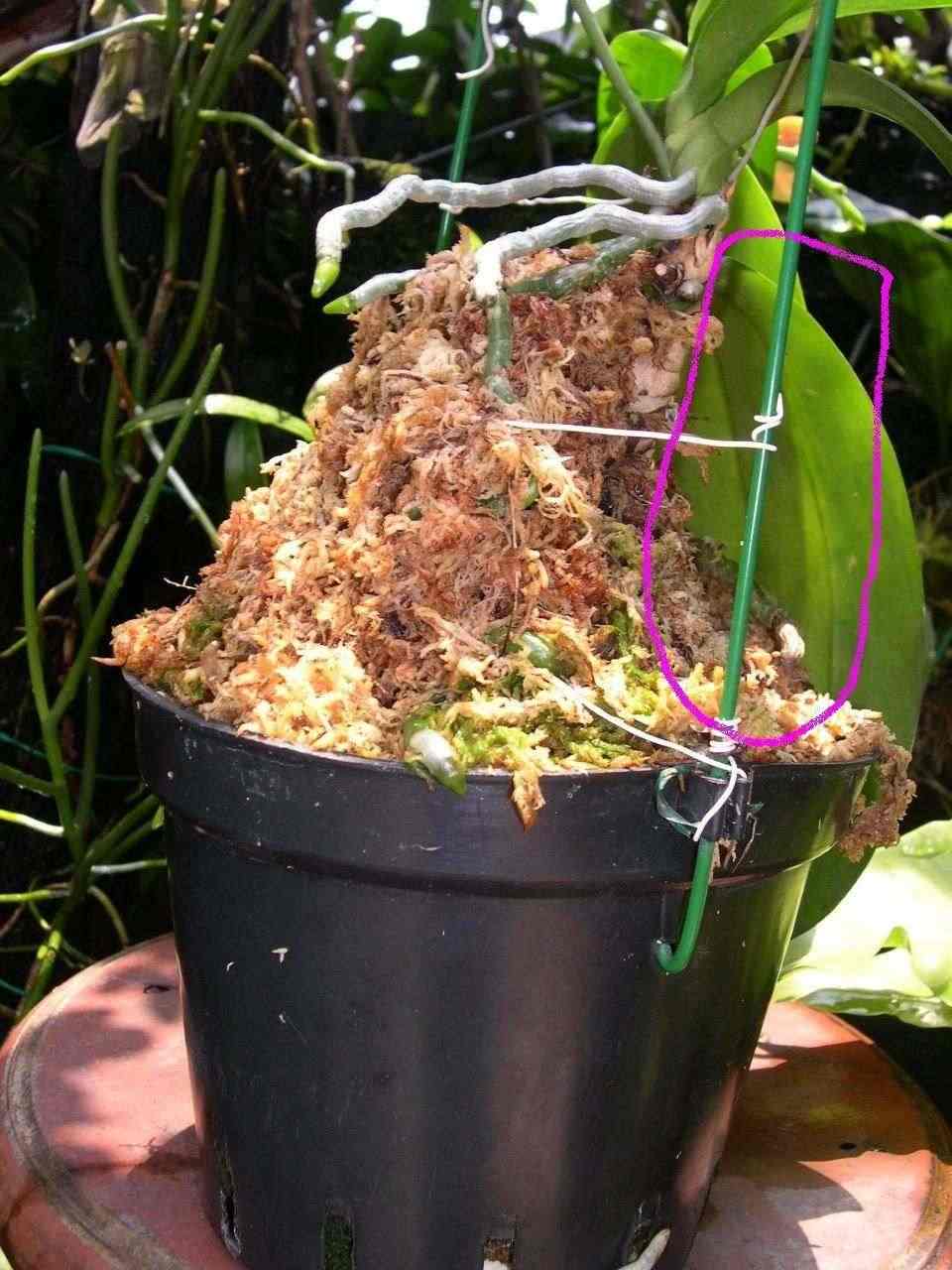 «ö¦¹¦b·sµøµ¡ÂsÄý¹Ï¤ù