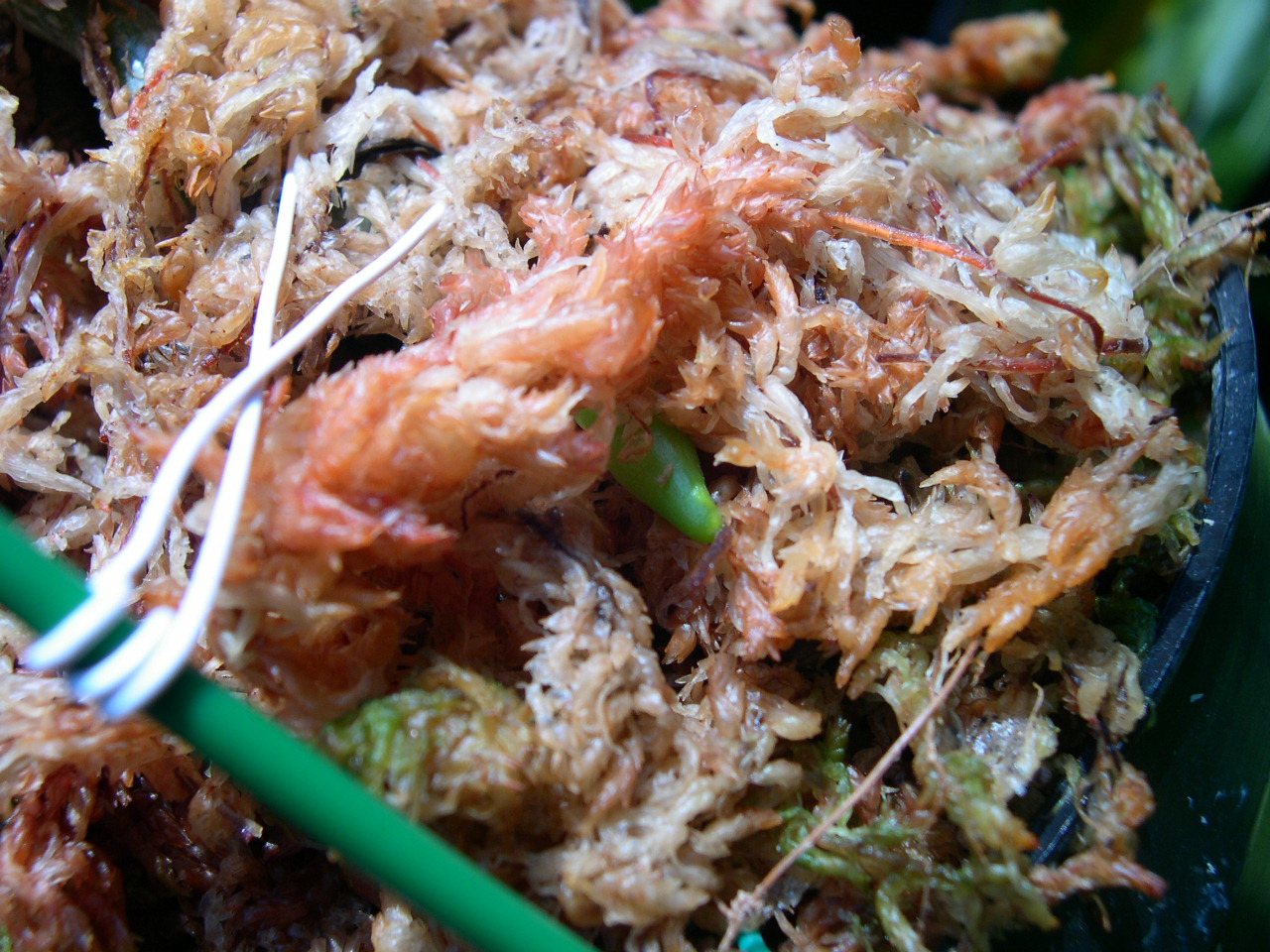 «ö¦¹¦b·sµøµ¡ÂsÄý¹Ï¤ù