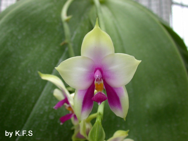 按此在新視窗瀏覽圖片