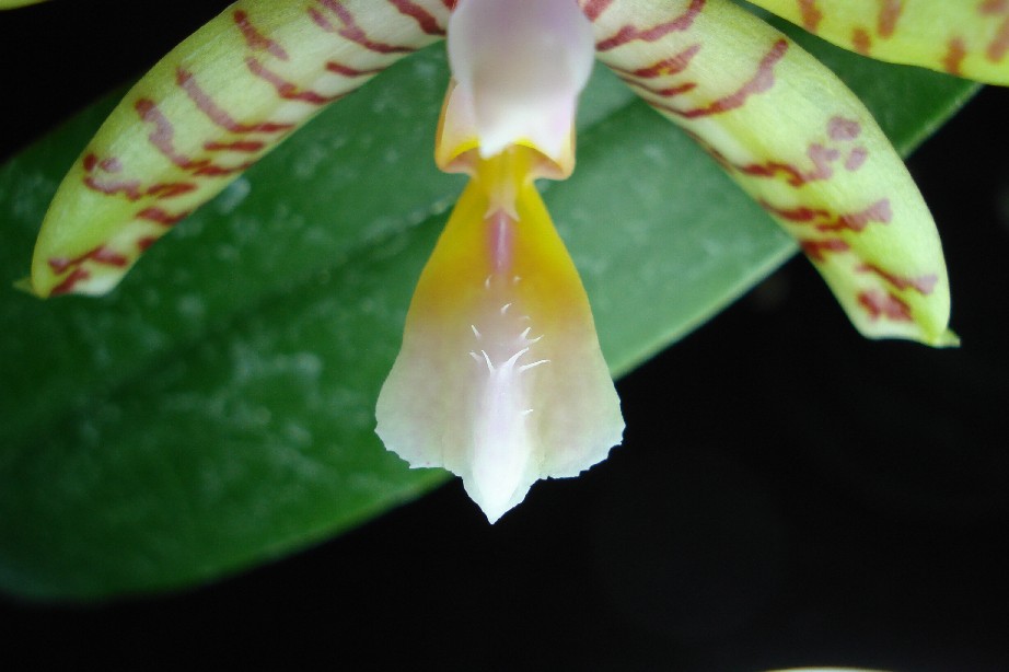 按此在新視窗瀏覽圖片