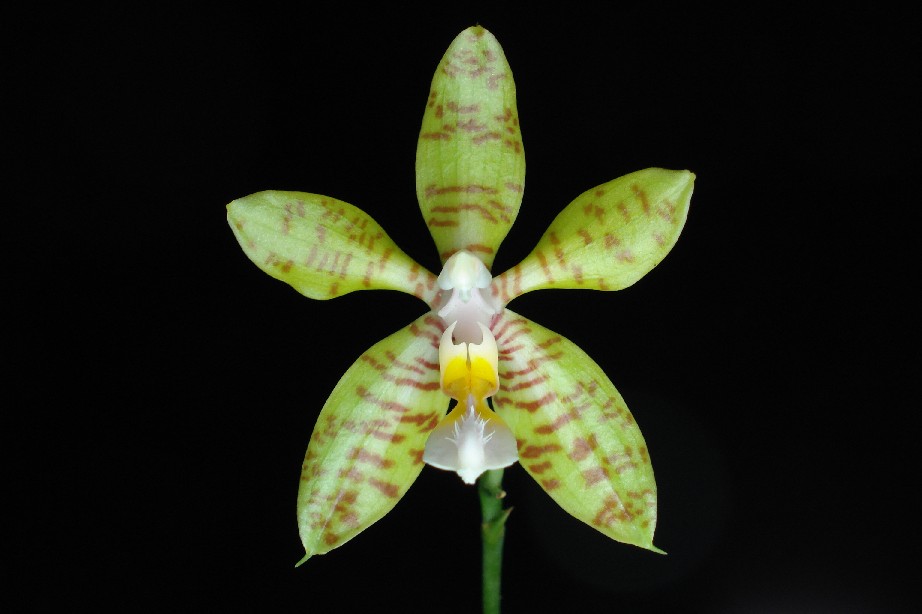 按此在新視窗瀏覽圖片