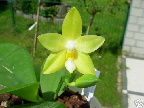 «ö¦¹¦b·sµøµ¡ÂsÄý¹Ï¤ù