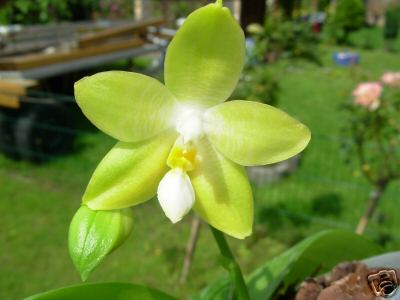 «ö¦¹¦b·sµøµ¡ÂsÄý¹Ï¤ù