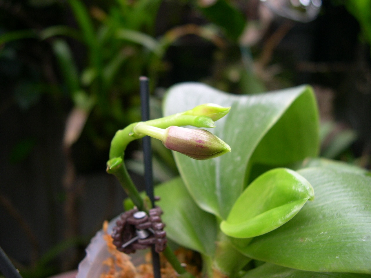 «ö¦¹¦b·sµøµ¡ÂsÄý¹Ï¤ù