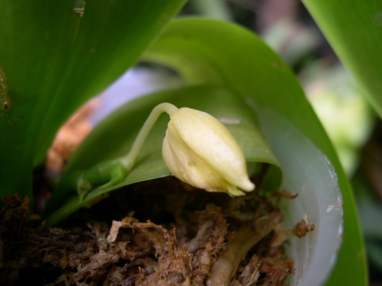 «ö¦¹¦b·sµøµ¡ÂsÄý¹Ï¤ù