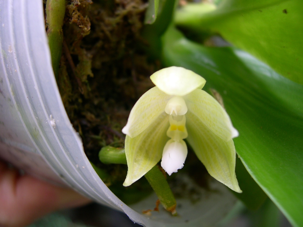 «ö¦¹¦b·sµøµ¡ÂsÄý¹Ï¤ù