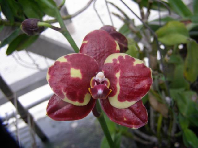 «ö¦¹¦b·sµøµ¡ÂsÄý¹Ï¤ù