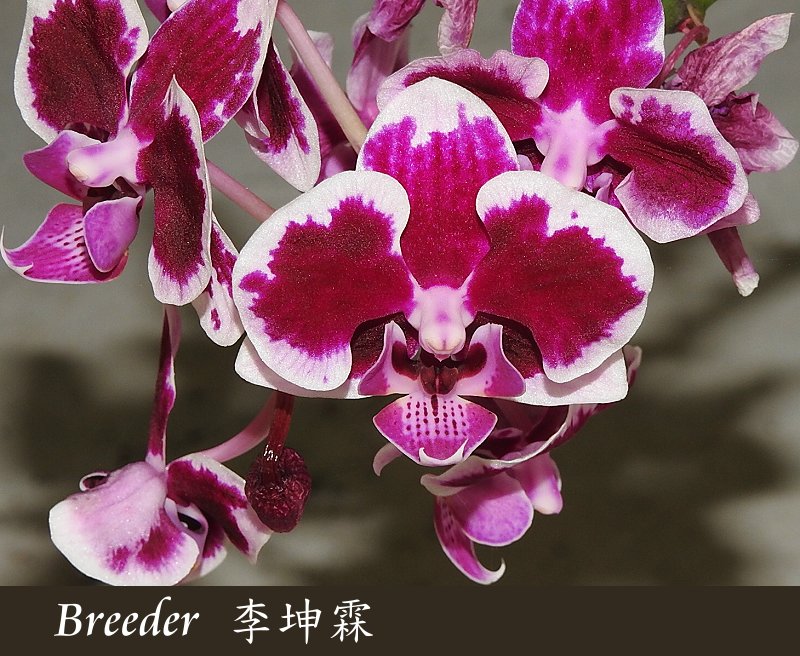 按此在新視窗瀏覽圖片