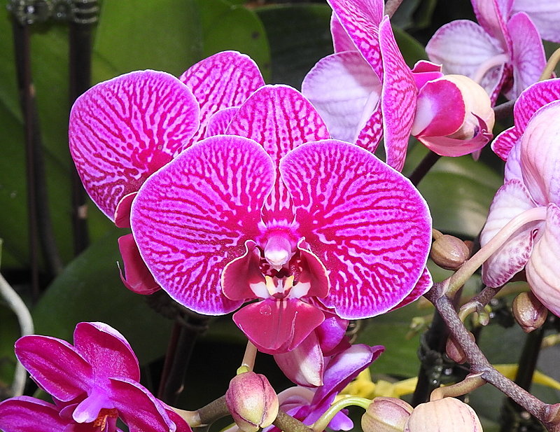 «ö¦¹¦b·sµøµ¡ÂsÄý¹Ï¤ù