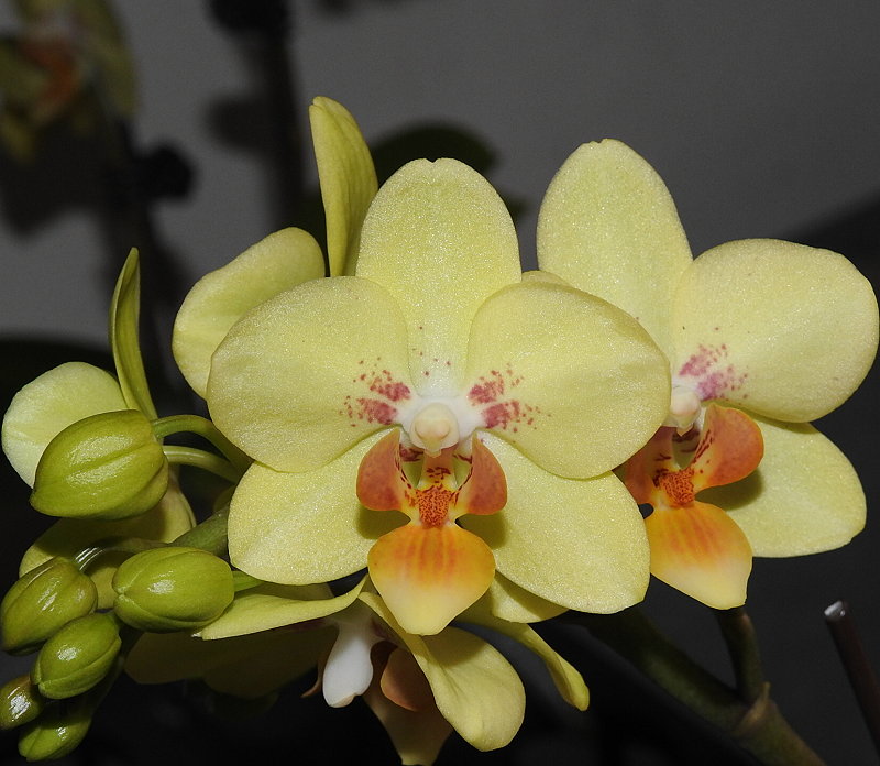 «ö¦¹¦b·sµøµ¡ÂsÄý¹Ï¤ù