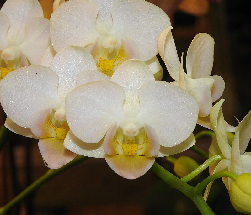 «ö¦¹¦b·sµøµ¡ÂsÄý¹Ï¤ù