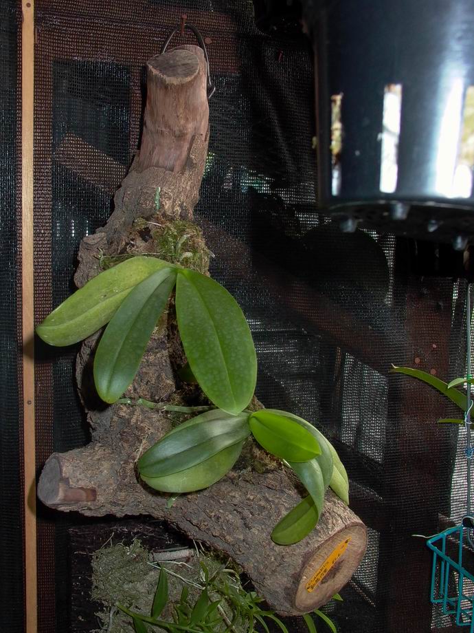 «ö¦¹¦b·sµøµ¡ÂsÄý¹Ï¤ù