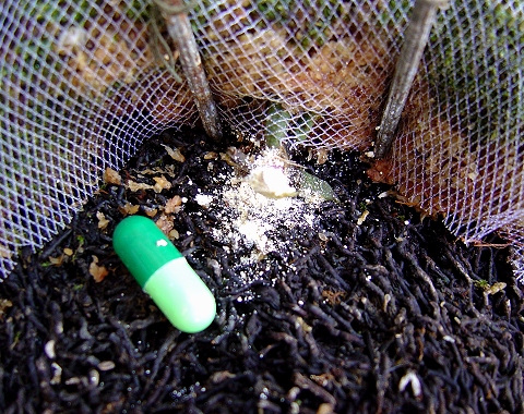 «ö¦¹¦b·sµøµ¡ÂsÄý¹Ï¤ù