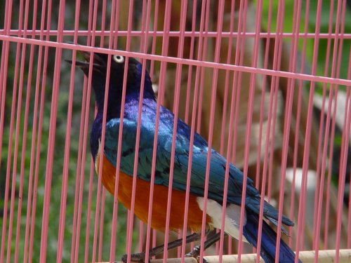 按此在新視窗瀏覽圖片