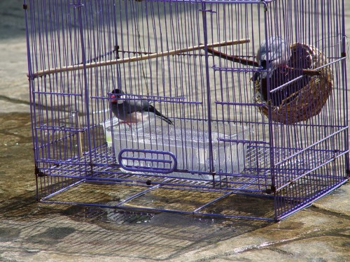 按此在新視窗瀏覽圖片