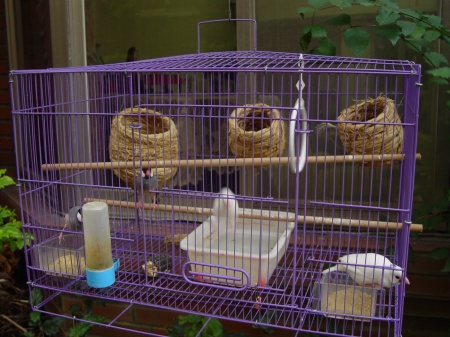 按此在新視窗瀏覽圖片