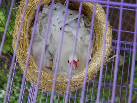 按此在新視窗瀏覽圖片