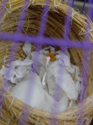 按此在新視窗瀏覽圖片