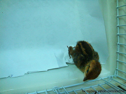 «ö¦¹¦b·sµøµ¡ÂsÄý¹Ï¤ù