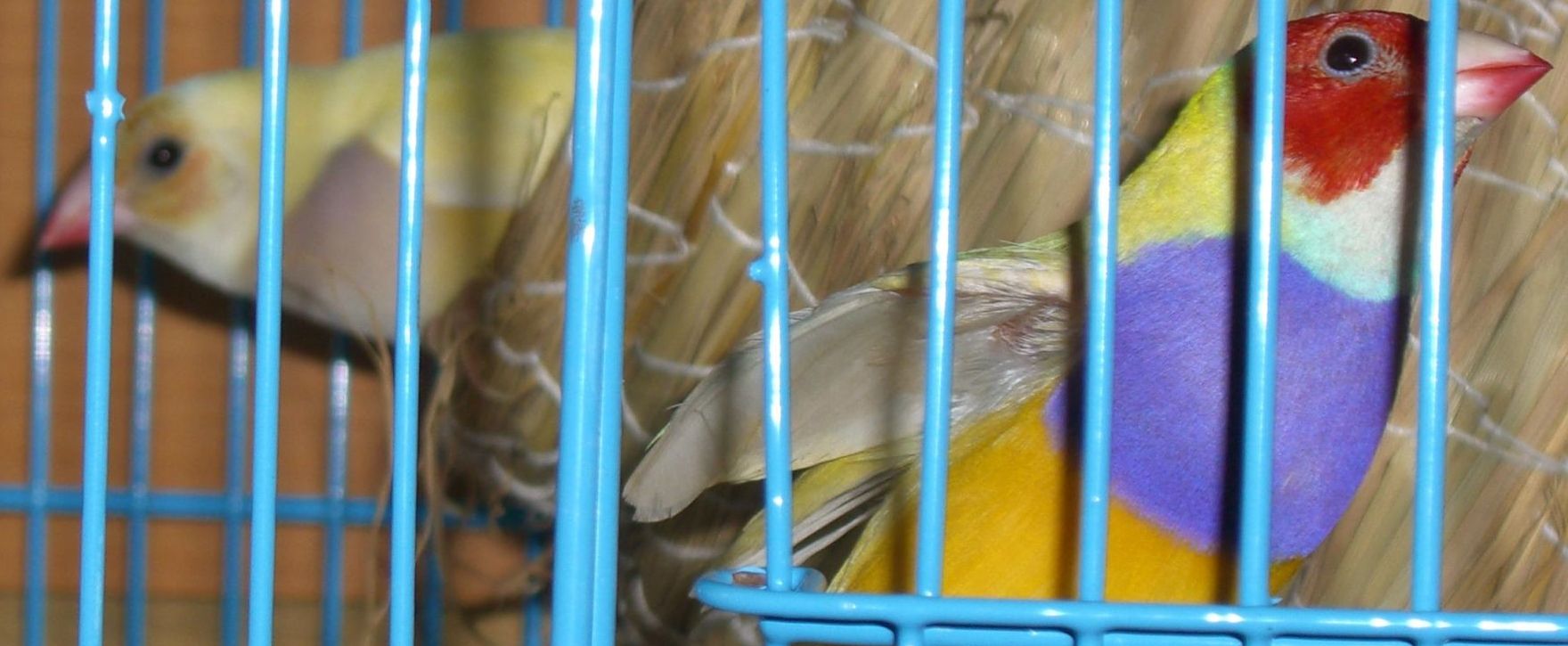 按此在新視窗瀏覽圖片