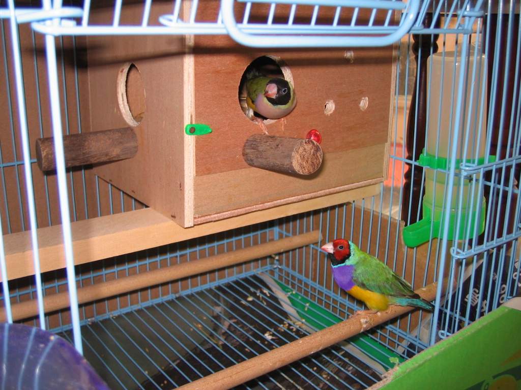 按此在新視窗瀏覽圖片