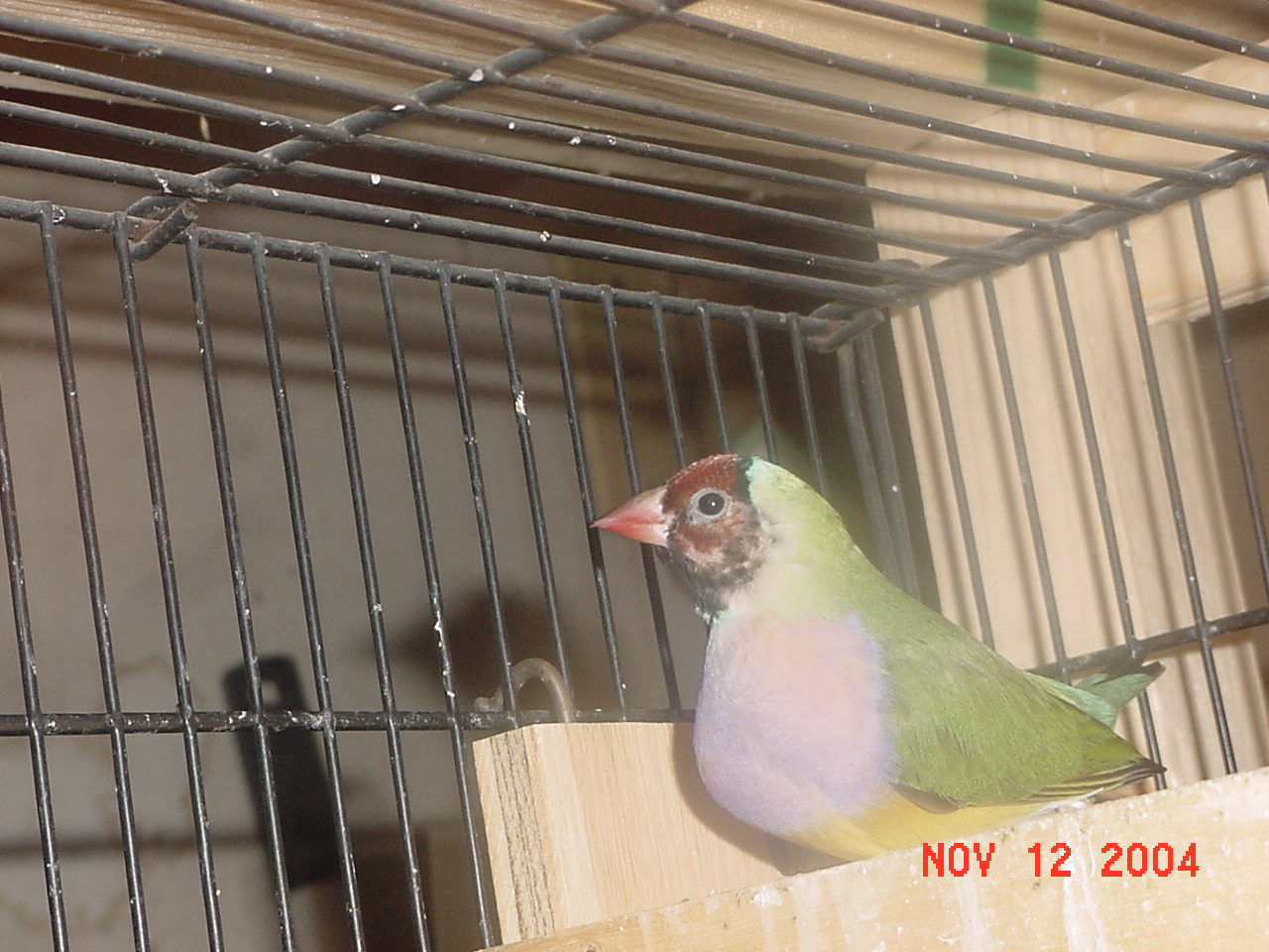 按此在新視窗瀏覽圖片