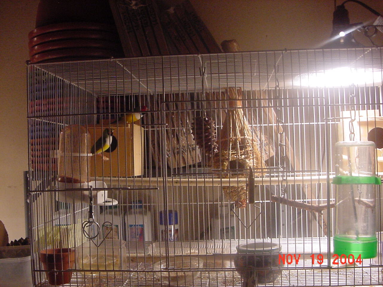 按此在新視窗瀏覽圖片