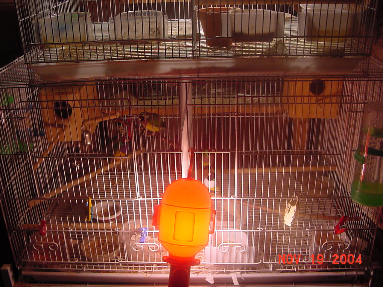 按此在新視窗瀏覽圖片