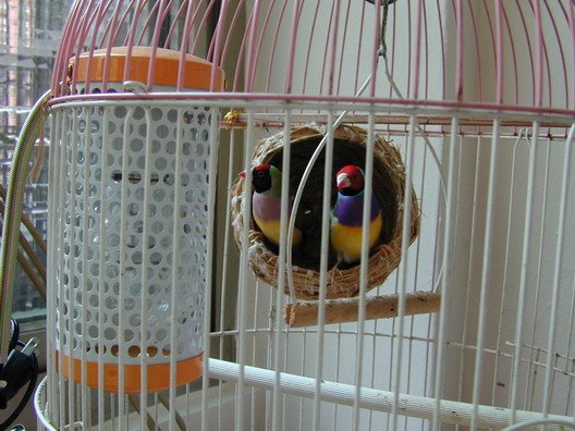 按此在新視窗瀏覽圖片