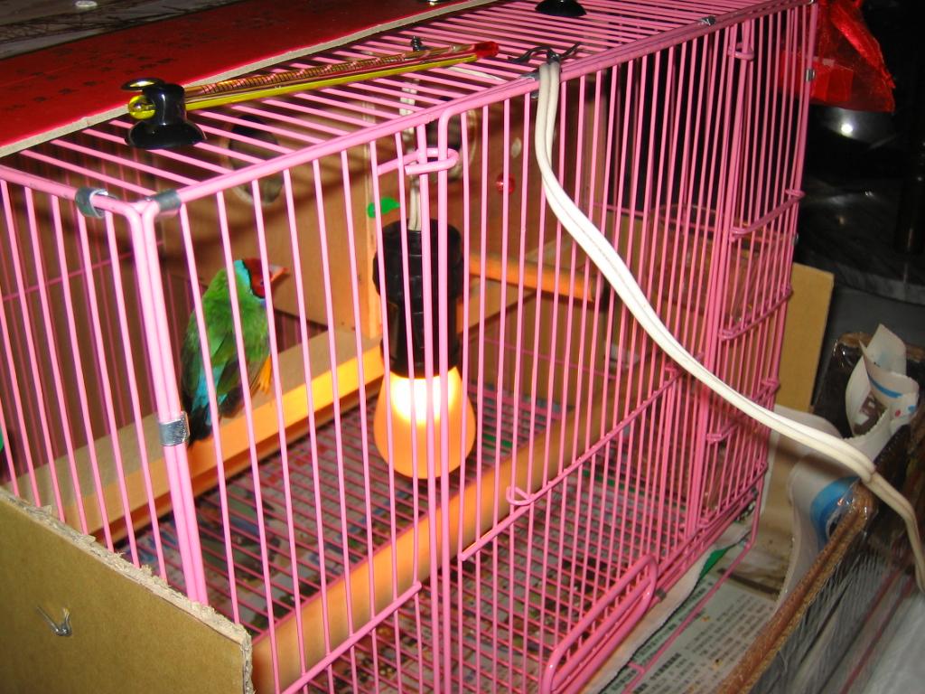 按此在新視窗瀏覽圖片